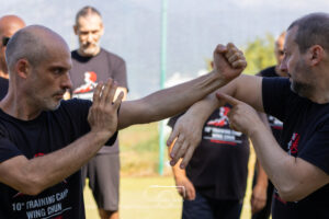Wing Chun-85